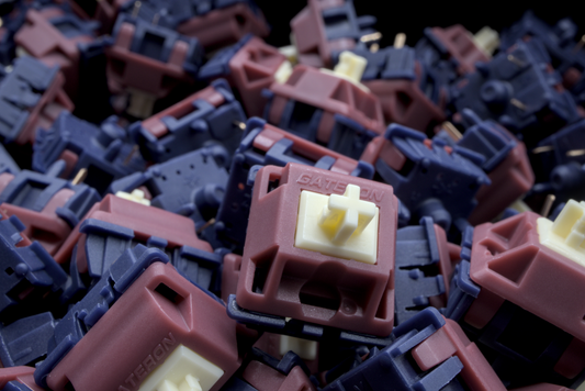 A close up photograph of the Gateron Quinn switches