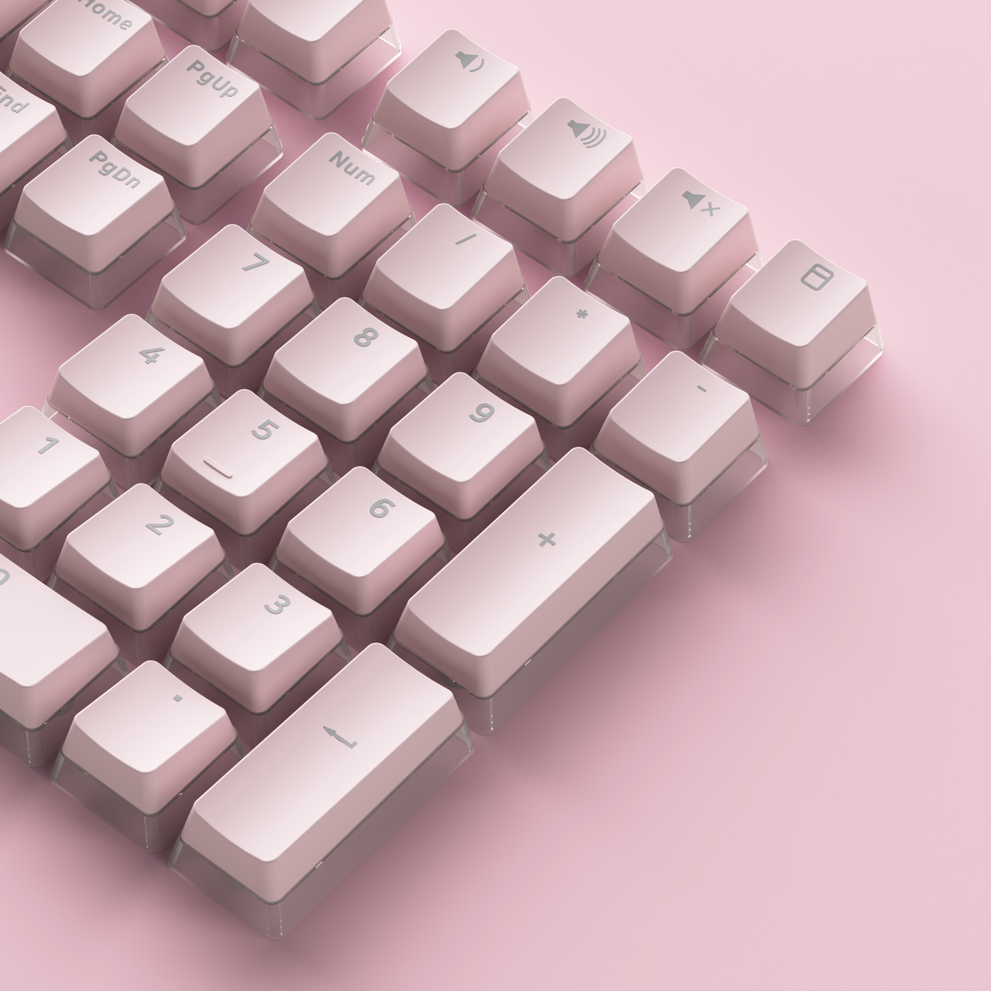 Akko Sakura Jelly