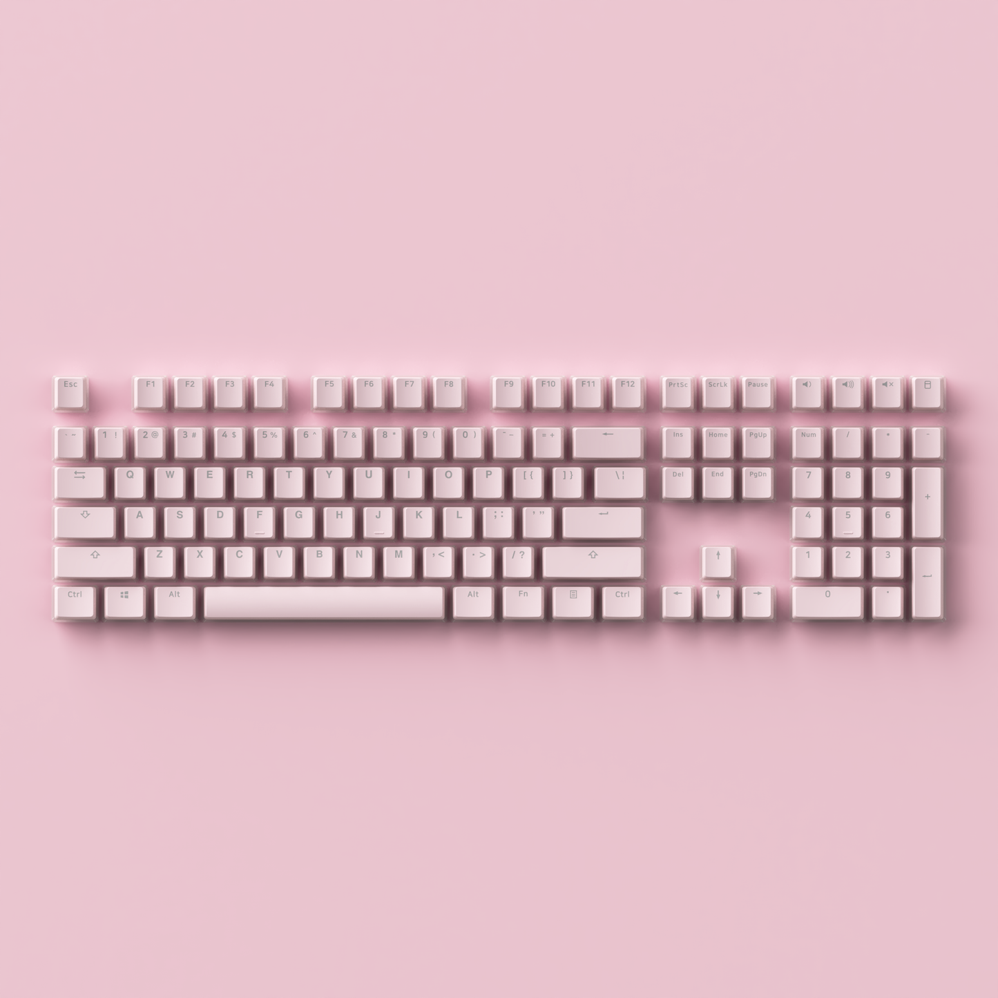 Akko Sakura Jelly