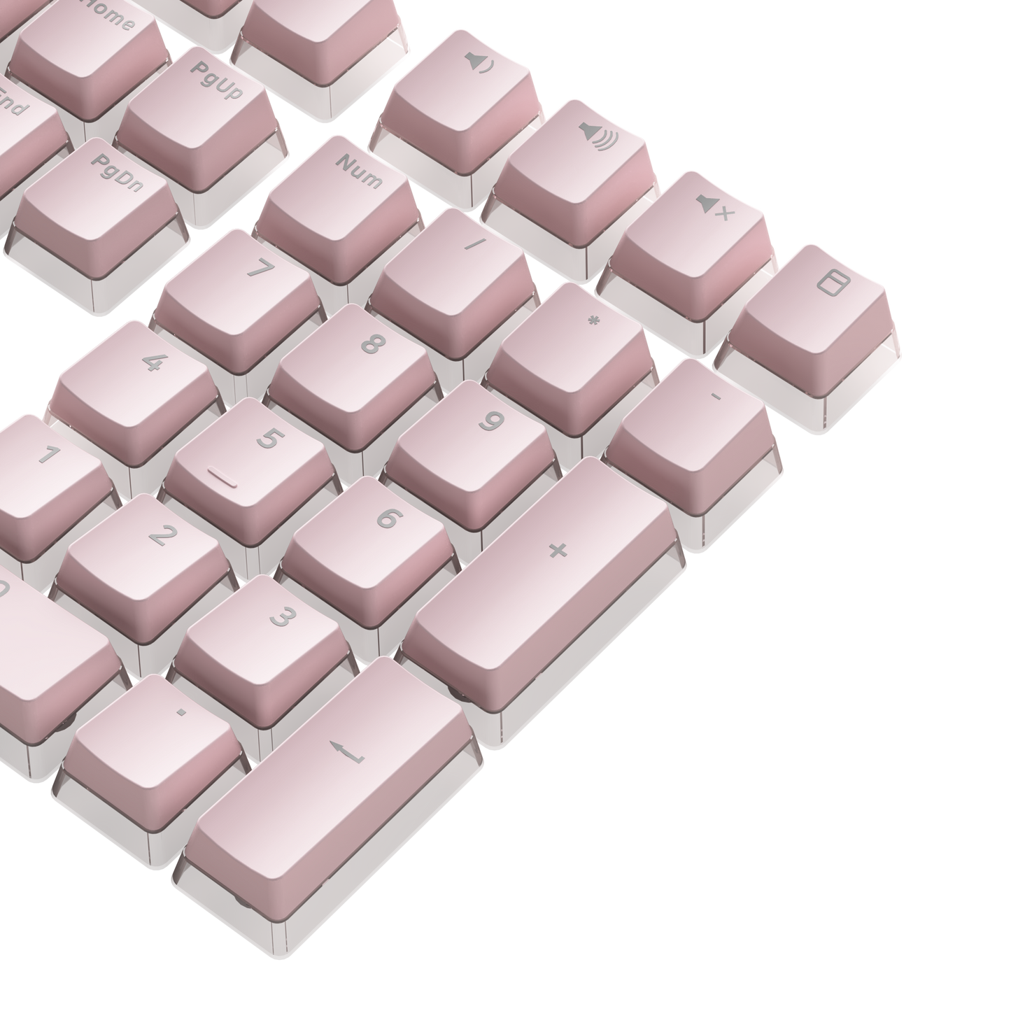 Akko Sakura Jelly