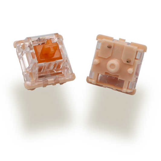 TECSEE CORAL