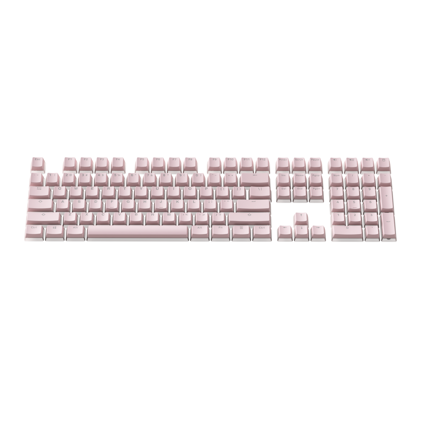 Akko Sakura Jelly