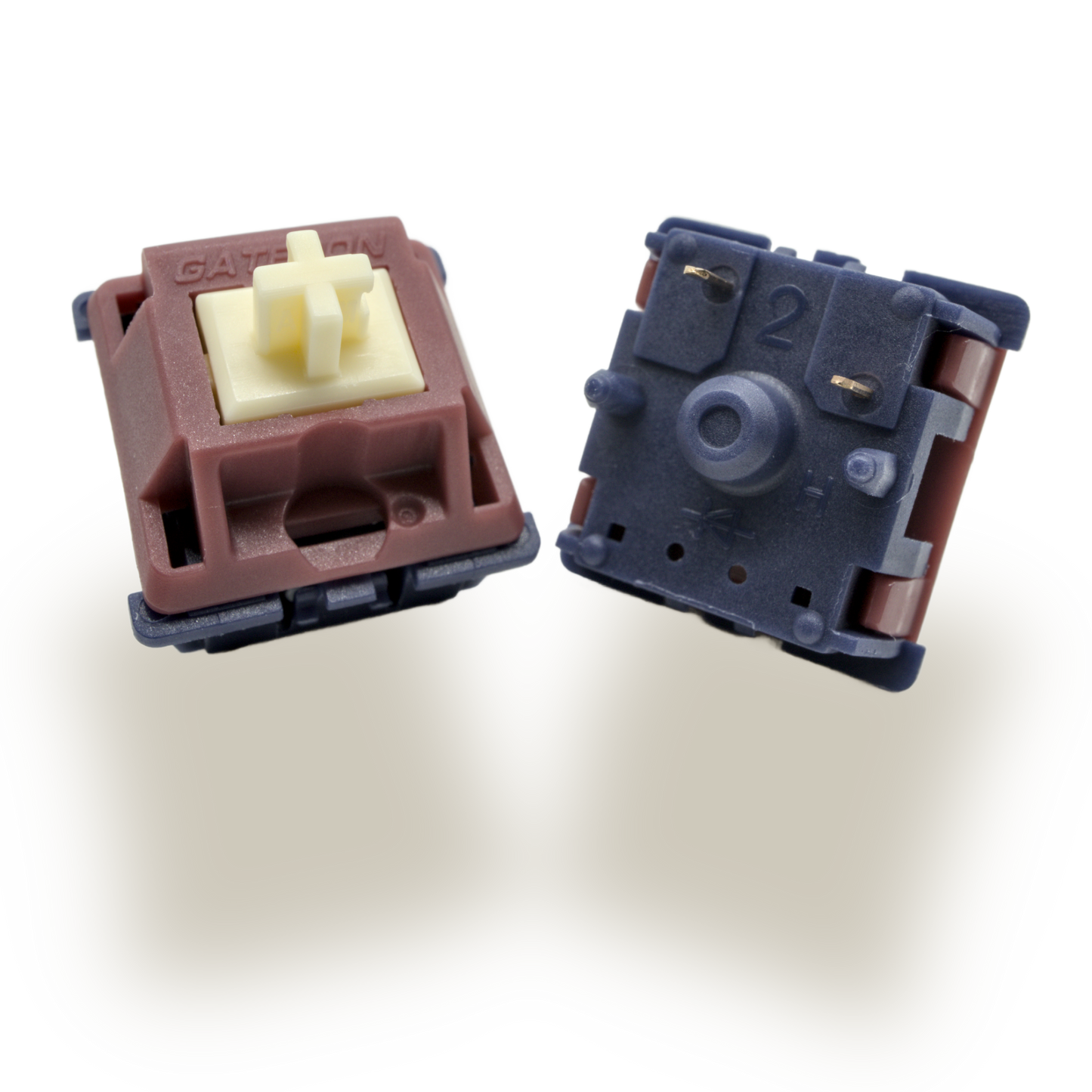 GATERON QUINN