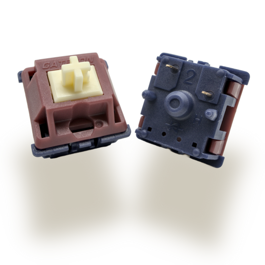 GATERON QUINN