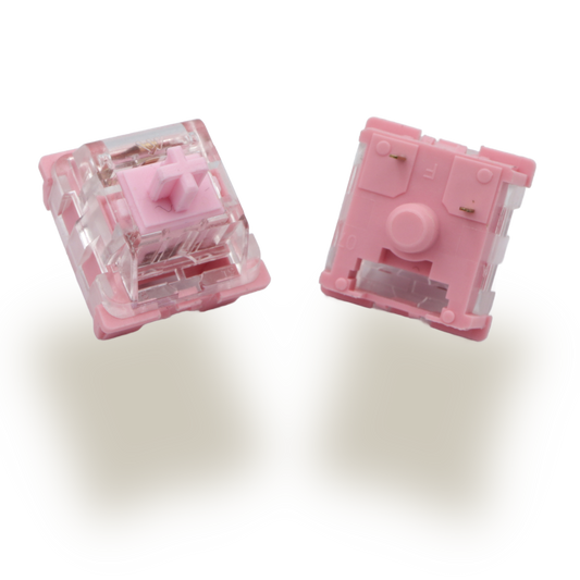 KTT ROSE