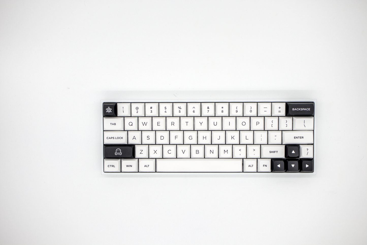 Akko Black on White BoW