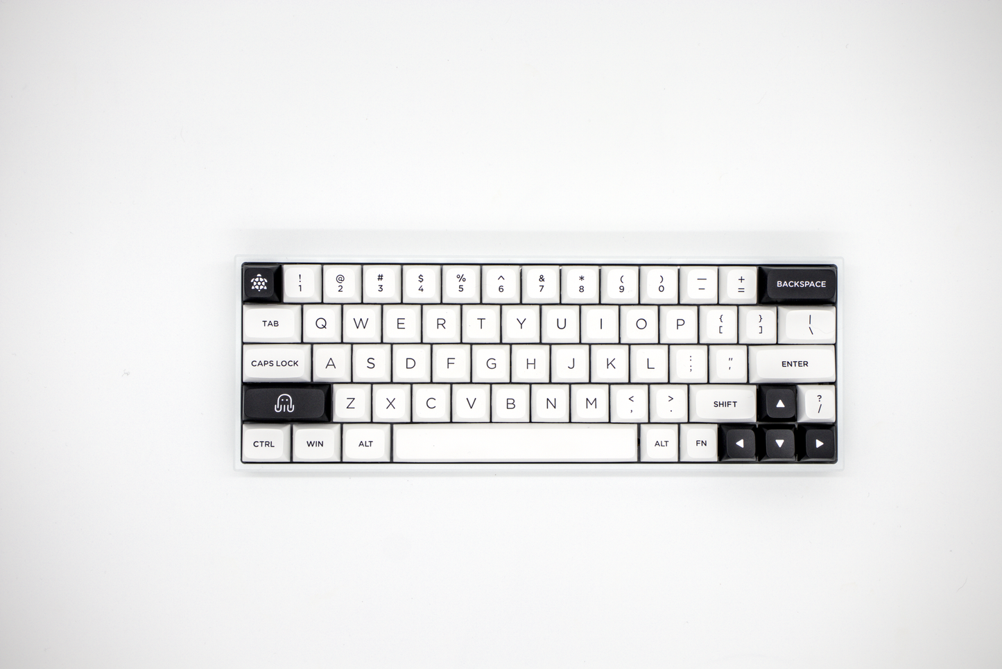 Akko Black on White BoW