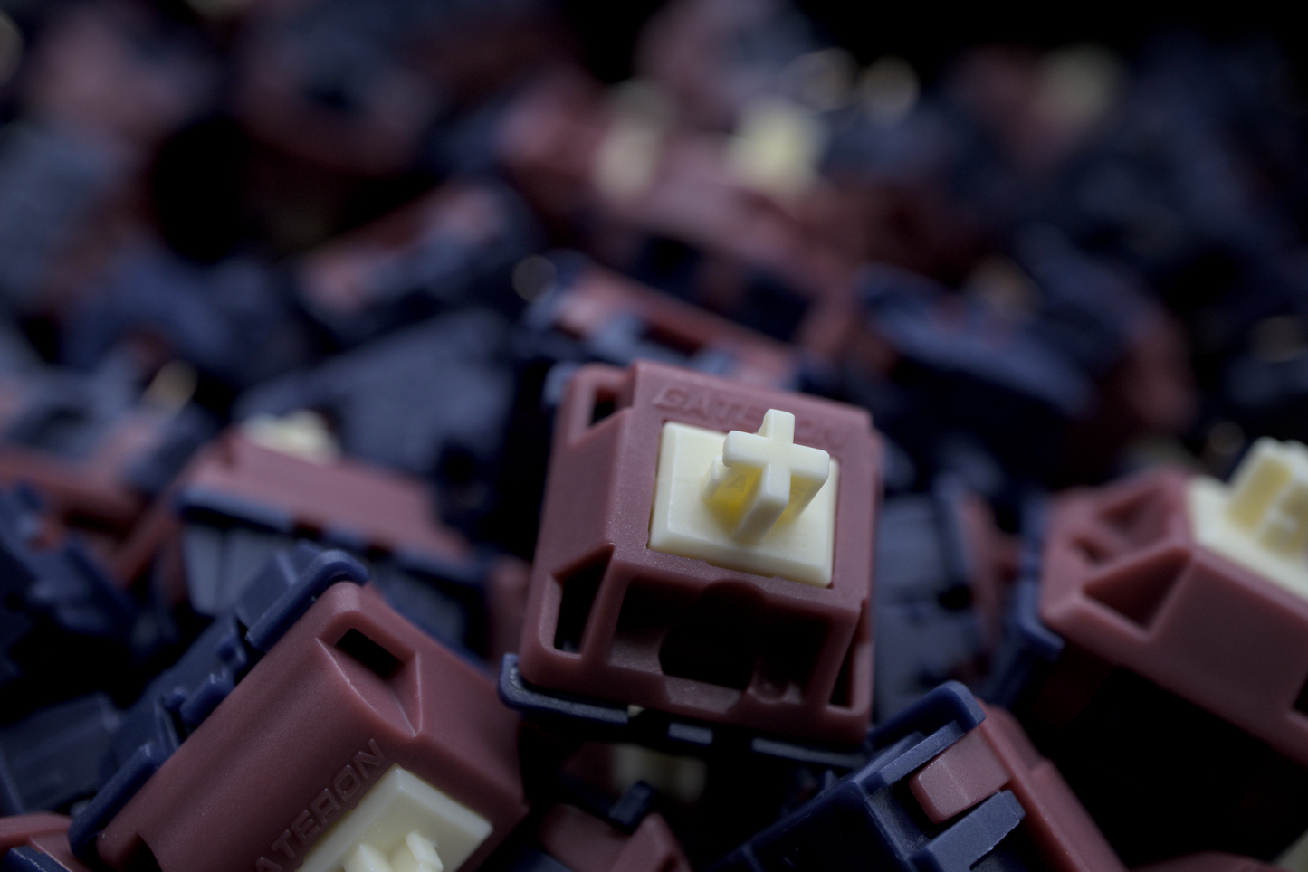 GATERON QUINN