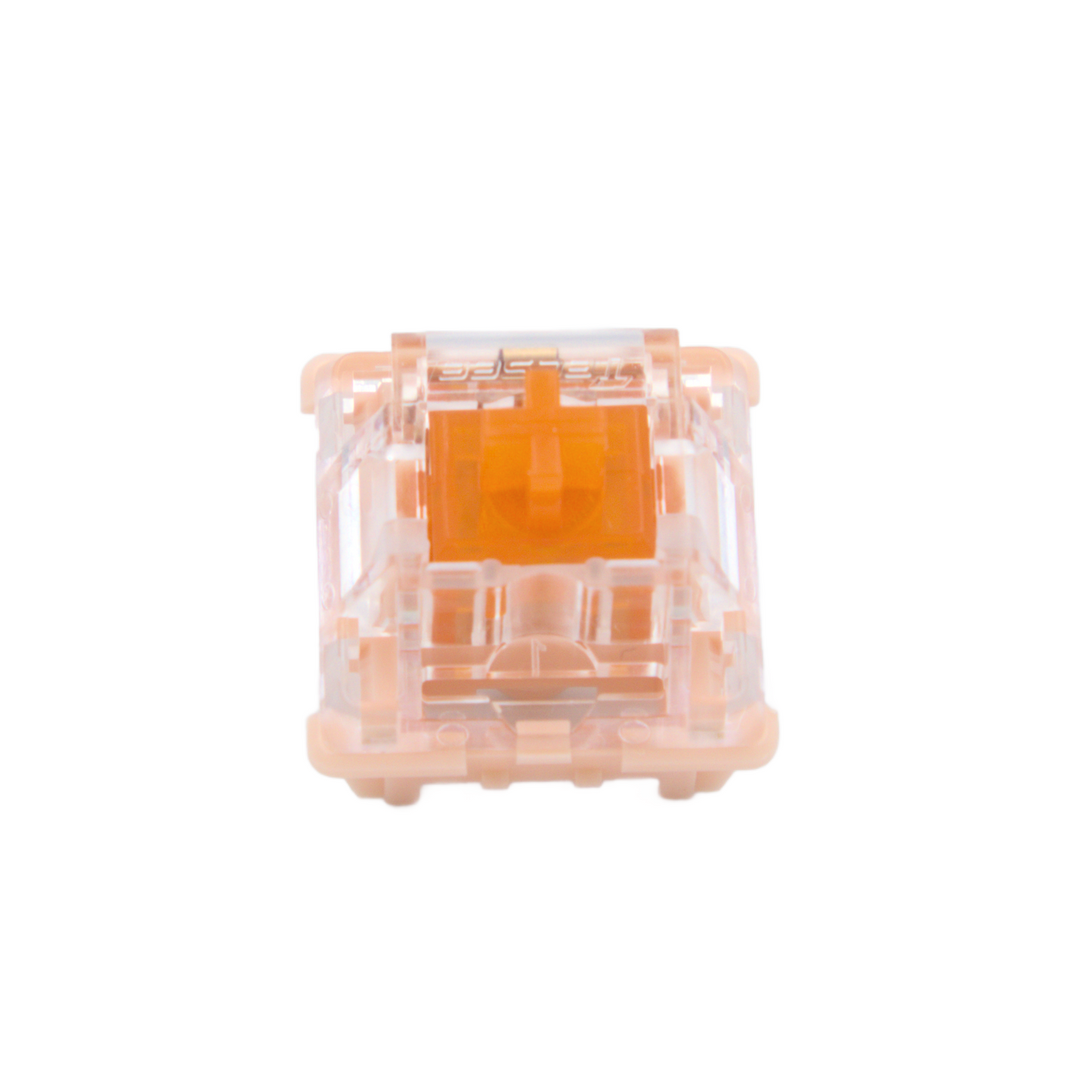 Tecsee Coral