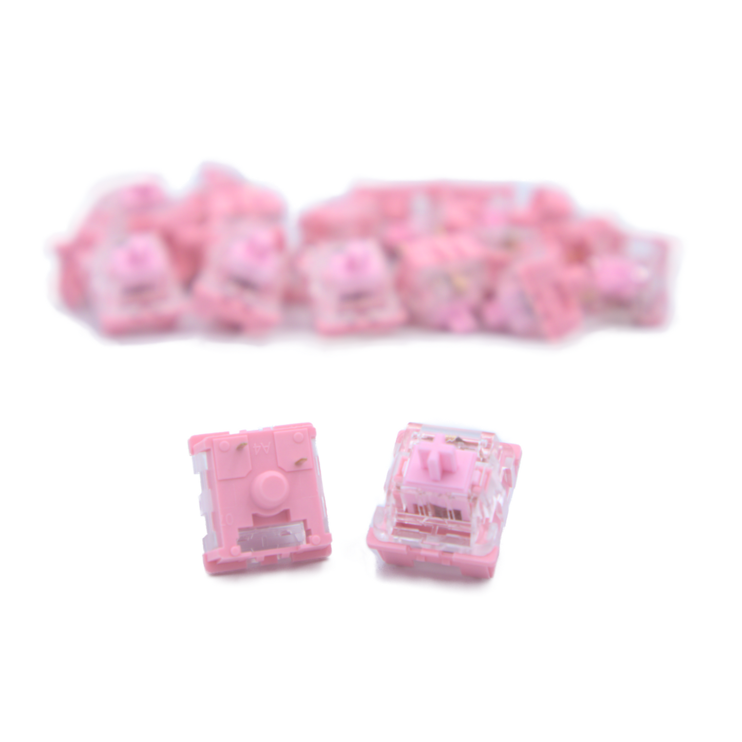 KTT Rose