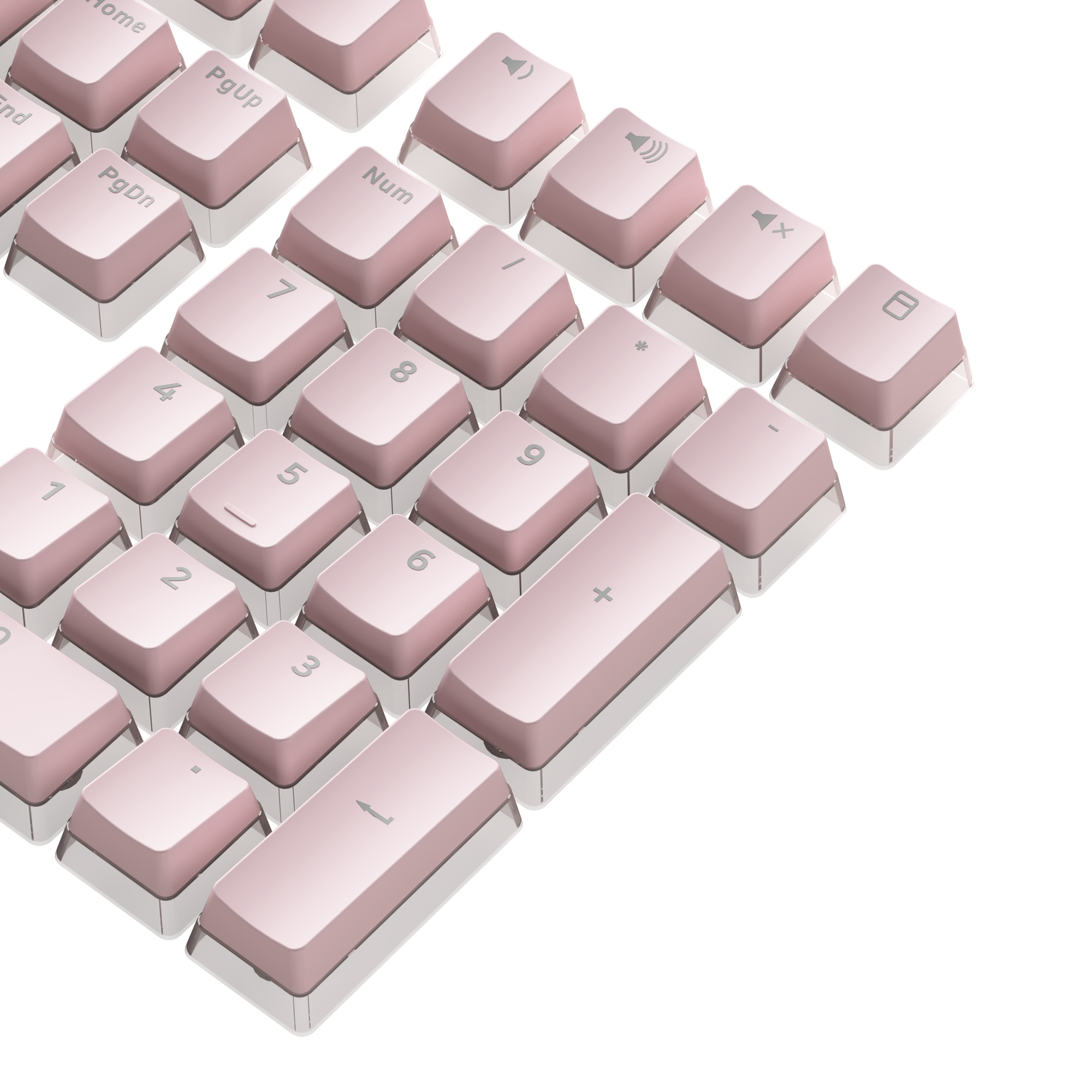 AKKO SAKURA JELLY