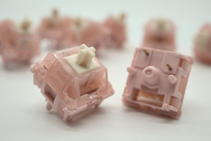 BSUN STRAWBERRY YOUTH