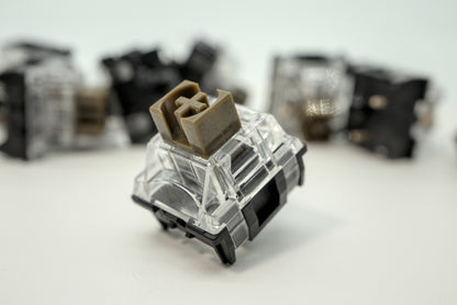 TTC SILENT BROWN V2
