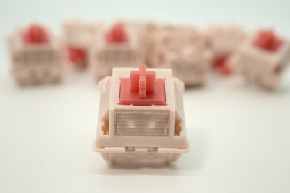 BSUN SAKURA SILENT