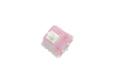DUROCK WHITE LOTUS