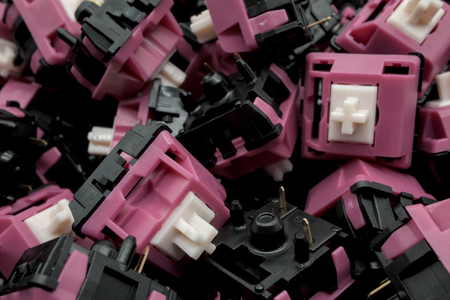 BLACK CAT STUDIO - MUGGY CHEESE LINEAR