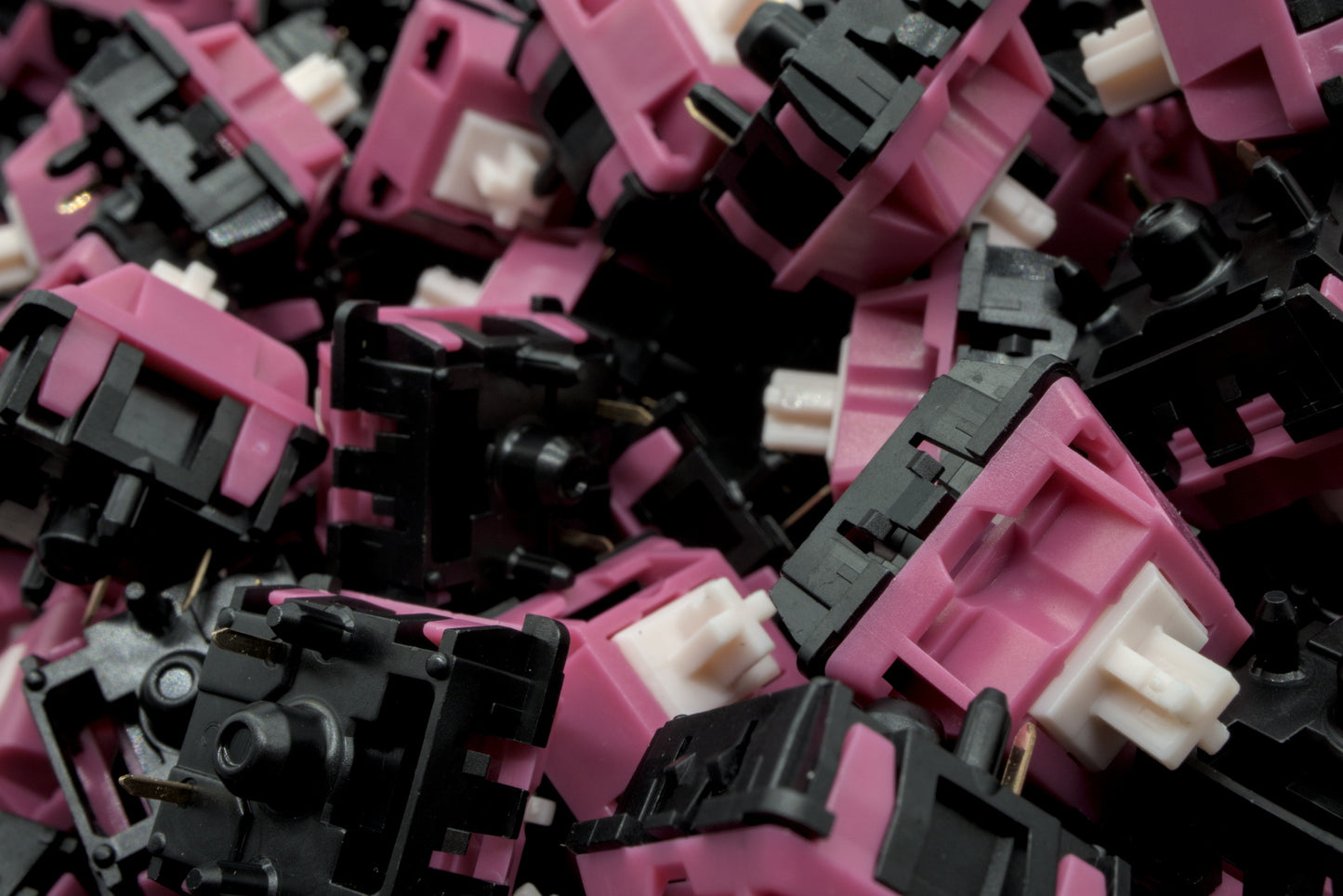 BLACK CAT STUDIO - MUGGY CHEESE LINEAR