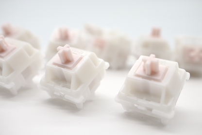 GATERON SNOWY PINK