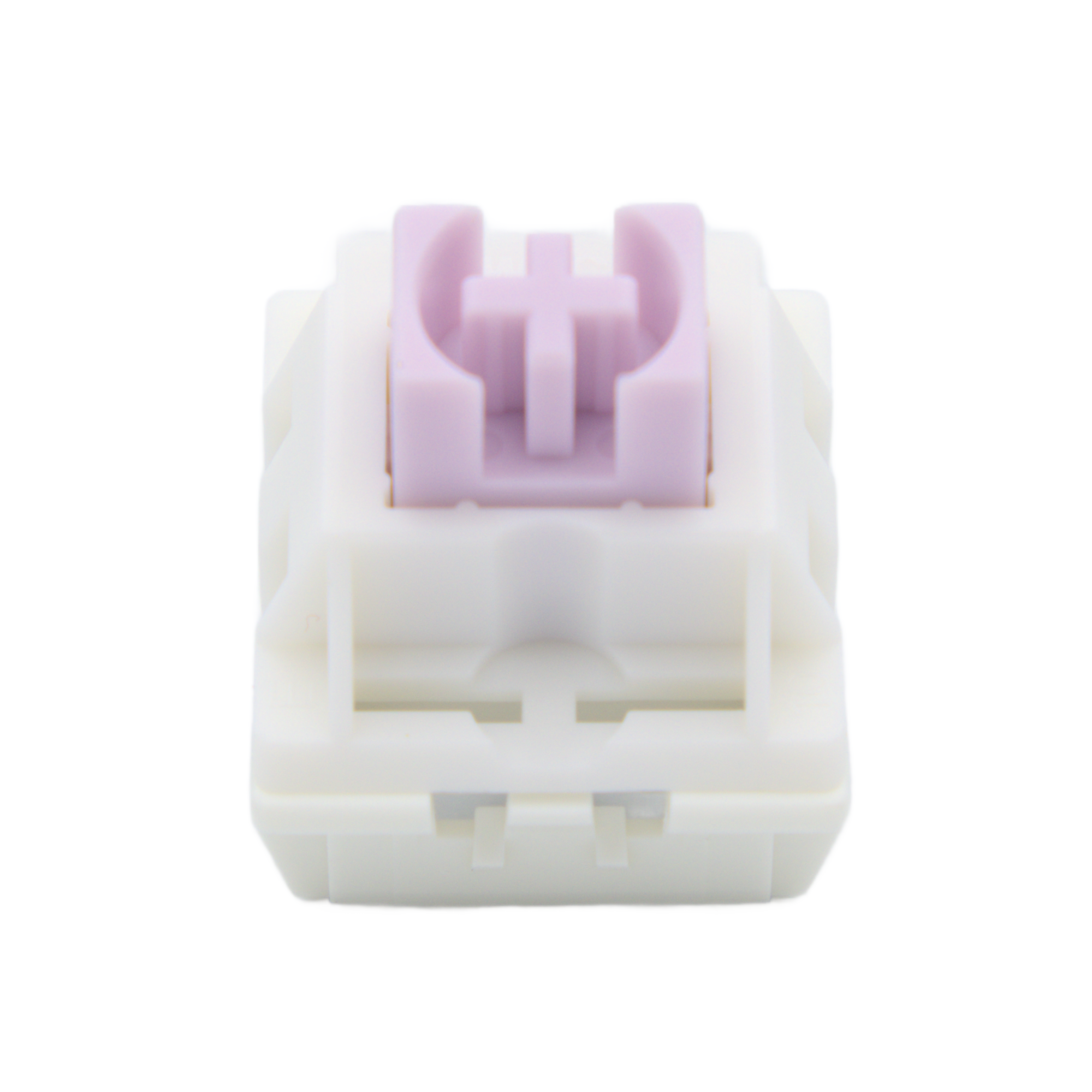 JWK TARO