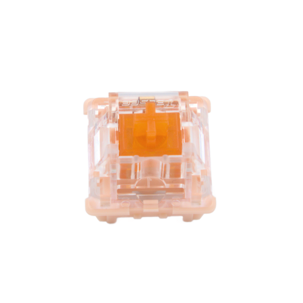 TECSEE CORAL